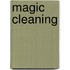 Magic Cleaning