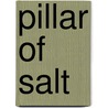 Pillar Of Salt door Janice Haaken