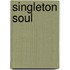 Singleton Soul