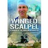 Winged Scalpel