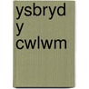 Ysbryd Y Cwlwm door Bobi Jones