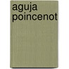 Aguja Poincenot by Jesse Russell