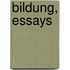 Bildung, essays