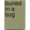 Buried in a Bog door Sheila Connolly