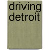 Driving Detroit door George Galster