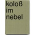Koloß im Nebel