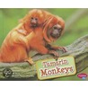 Tamarin Monkeys door Mary R. Dunn