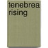 Tenebrea Rising