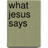 What Jesus Says