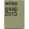 Wiley Gaap 2013 door Steven M. Bragg