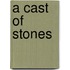 A Cast of Stones