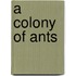 A Colony of Ants
