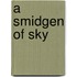 A Smidgen of Sky