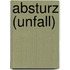 Absturz (Unfall)
