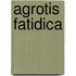 Agrotis fatidica