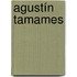 Agustín Tamames