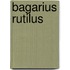 Bagarius rutilus
