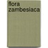 Flora Zambesiaca