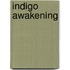 Indigo Awakening