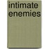 Intimate Enemies