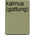 Kalmus (Gattung)