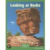 Looking at Rocks door Elizabeth Moore