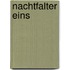 Nachtfalter Eins
