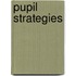 Pupil Strategies
