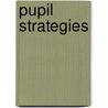 Pupil Strategies by Peter Woods