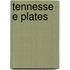 Tennessee Plates