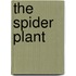The Spider Plant