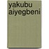 Yakubu Aiyegbeni
