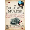 A Dreadful Murder door Minette Walters