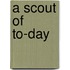 A Scout of To-Day