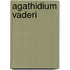 Agathidium vaderi