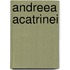 Andreea Acatrinei