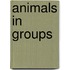Animals in Groups