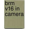 Brm V16 In Camera door Anthony Pritchard