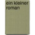Ein kleiner Roman