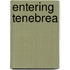 Entering Tenebrea