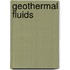 Geothermal Fluids