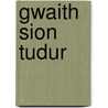 Gwaith Sion Tudur door Sion Tudur