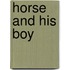 Horse And His Boy