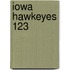 Iowa Hawkeyes 123
