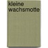 Kleine Wachsmotte