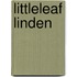 Littleleaf Linden