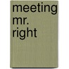 Meeting Mr. Right by Lisa Raftery