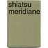 Shiatsu Meridiane