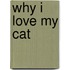 Why I Love My Cat