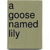 A Goose Named Lily door Meghan Miller